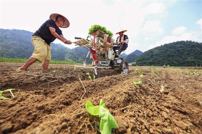 搶抓農(nóng)時種植忙